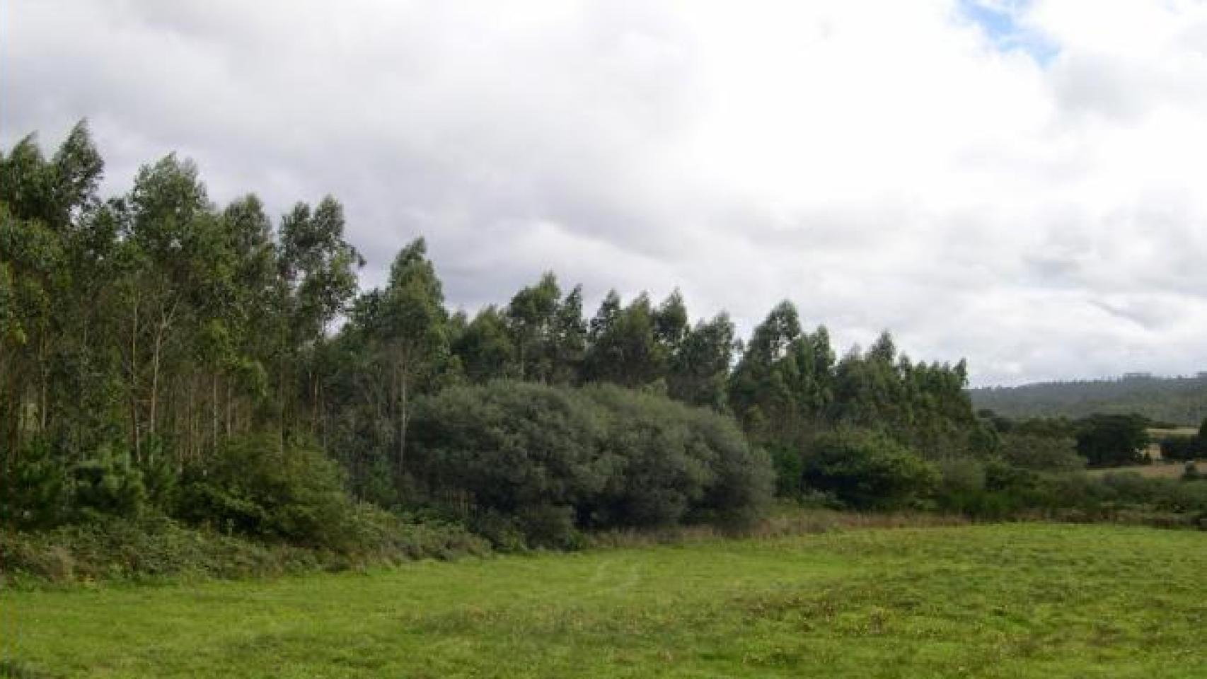 Terreno de Costa Da Morte, A Coruña.