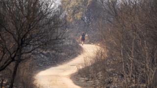 El fuego entra en Las Médulas y ha afectado a importantes masas forestales del paraje natural