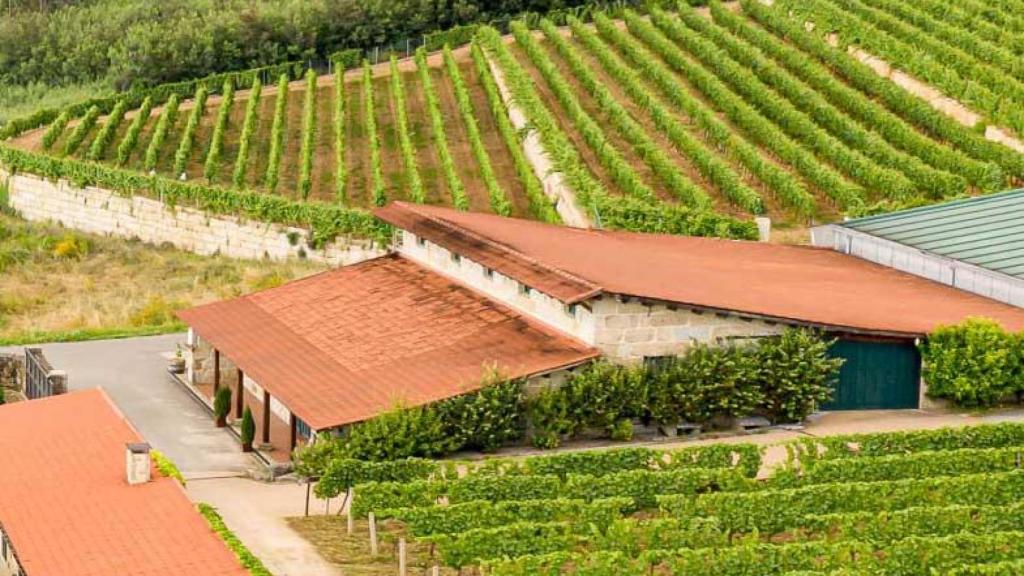 Bodega Casal de Armán