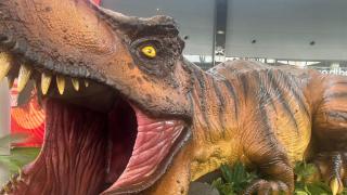 El Tiranosaurio Rex gigante