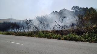 Incendio en Os Rosales.