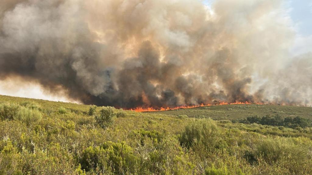 Imagen del incendio en Puercas de Aliste (Zamora)