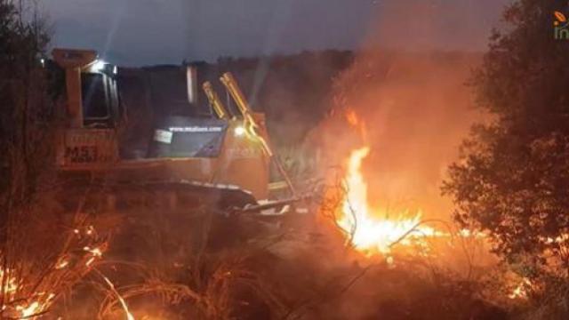 Incendio forestal en Navalmoralejo (Toledo). Foto: Plan Infocam.