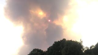 Incendio forestal en Molezuelas de la Carballeda (Zamora)