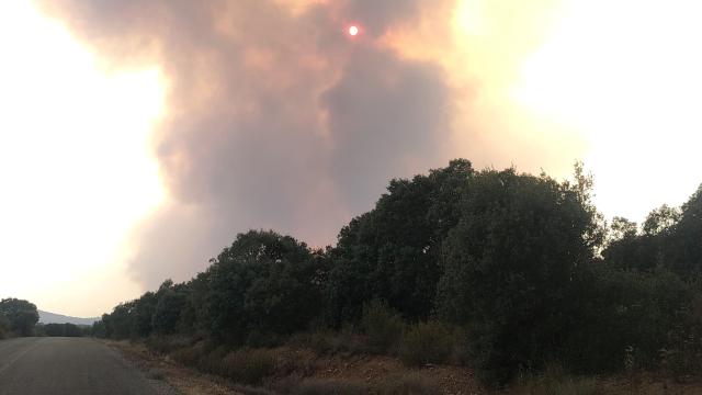 Incendio forestal en Molezuelas de la Carballeda (Zamora)