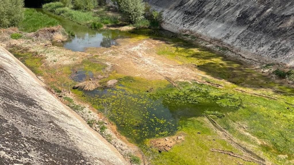 Situación en Sacedón