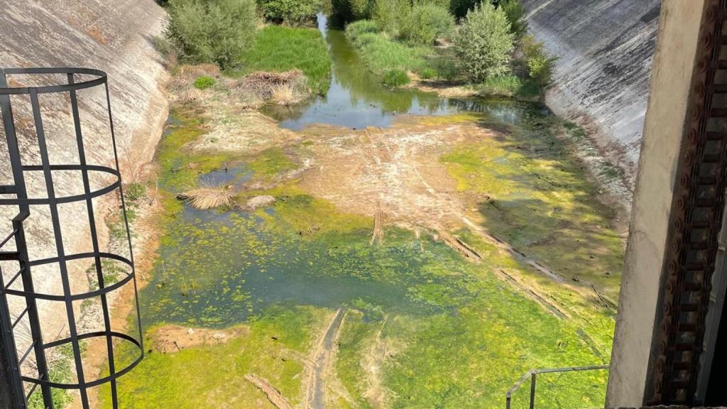 Sacedón denuncia la dejadez de la Confederación Hidrográfica del Tajo