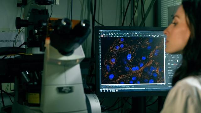 Laboratorio de Beonchip.