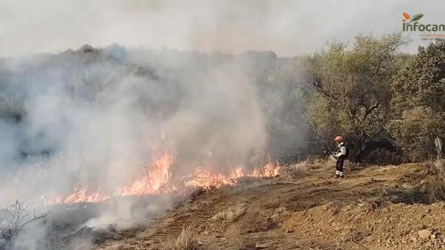 Incendio en Navalmoralejo (Toledo).