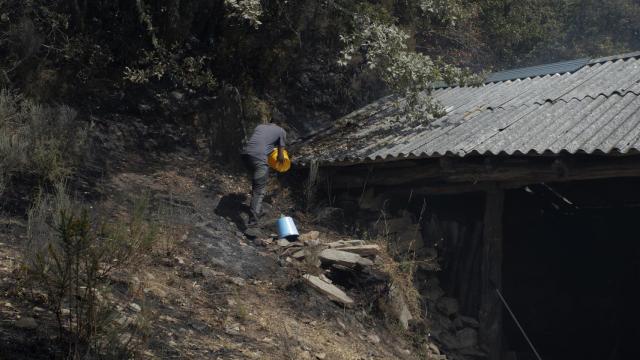 Ganadero propietario de algo más de cien vacas en Teixeira, intenta sofocar el fuego en uno de los refugios de los animales, a 10 de agosto de 2025, en Maceda, Ourense, Galicia (España)