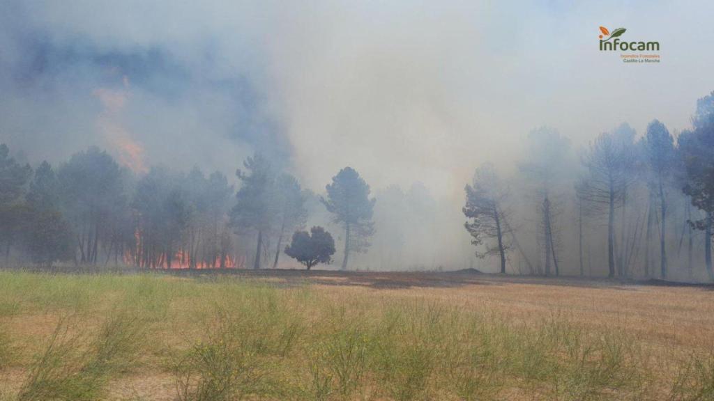 Incendio forestal en Almodóvar del Pinar (Cuenca). Foto: Plan Infocam.