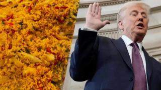 918168429_252484727_1706x960