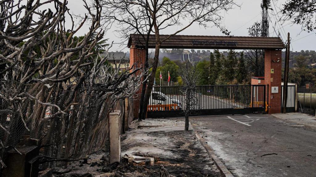 Árboles calcinados en la entrada del King's College.