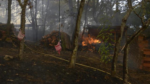 Jardín privado quemado durante el incendio, a 12 de agosto de 2025, en Seixalbo, Ourense, Galicia