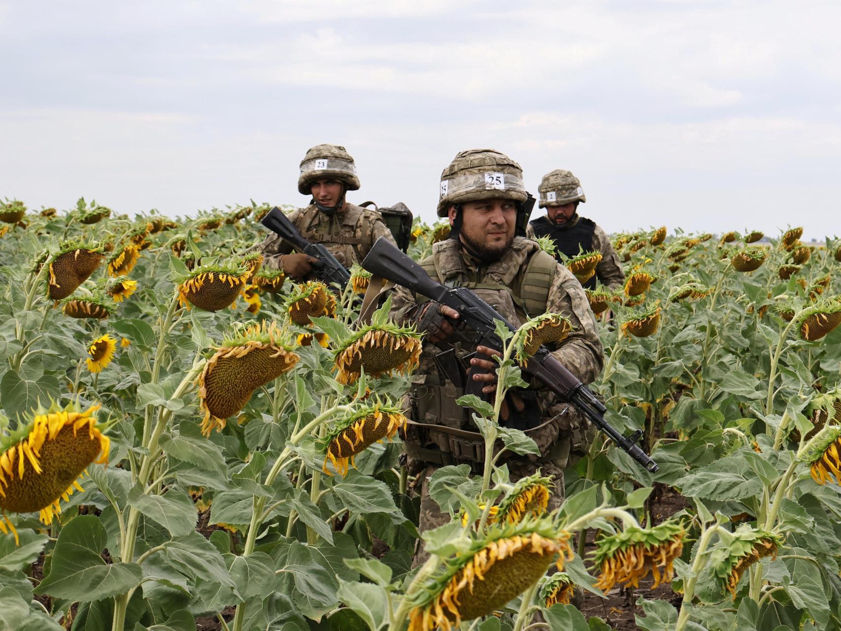 Soldados ucranianos participan en un ejercicio en la región de Zaporiyia.