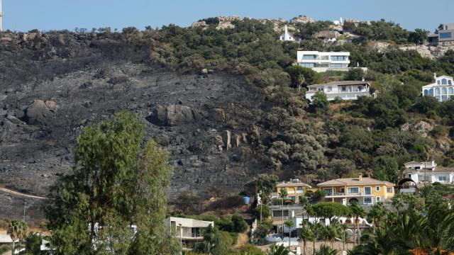 Parte de la zona arrasada por el fuego en Tarifa este verano, junto a las casa de los Alemanes.