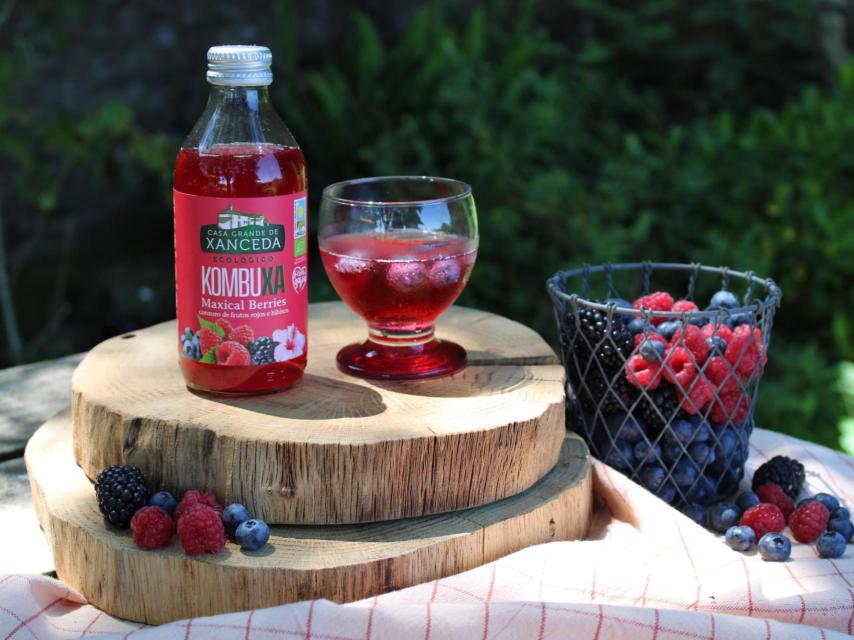 Kombuxa Maxical Berries.