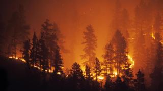 Anillo de fuego en un incendio forestal el Colorado, EEUU.
