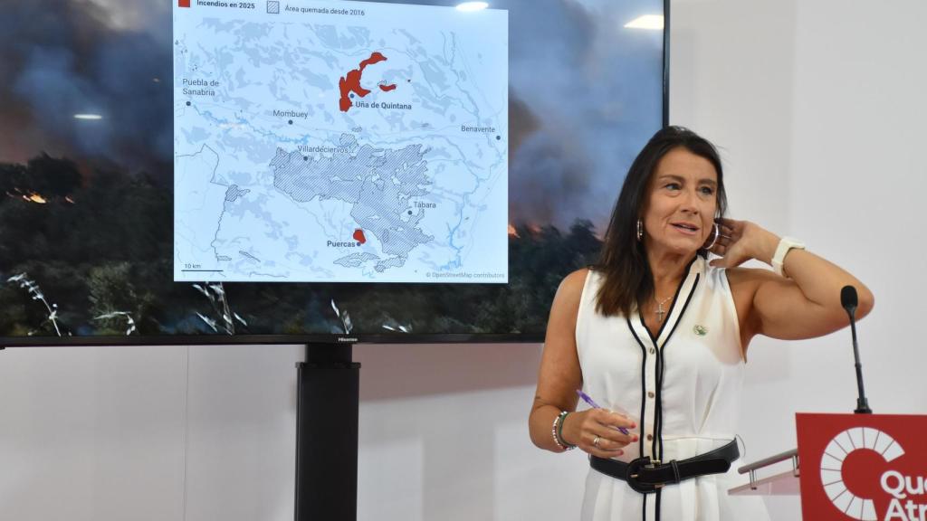 La vicepresidenta de las Cortes de Castilla y León y procuradora del Grupo Socialista por Zamora, Ana Sánchez