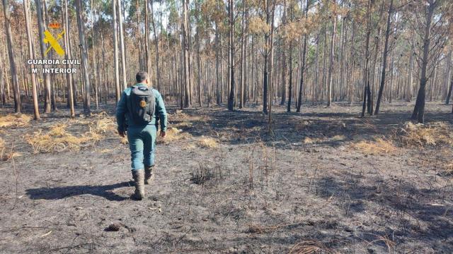 Imagen de un incendio forestal.
