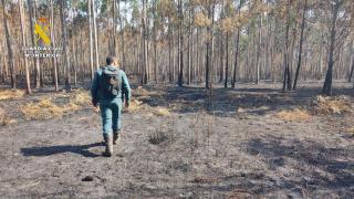 Imagen del incendio.