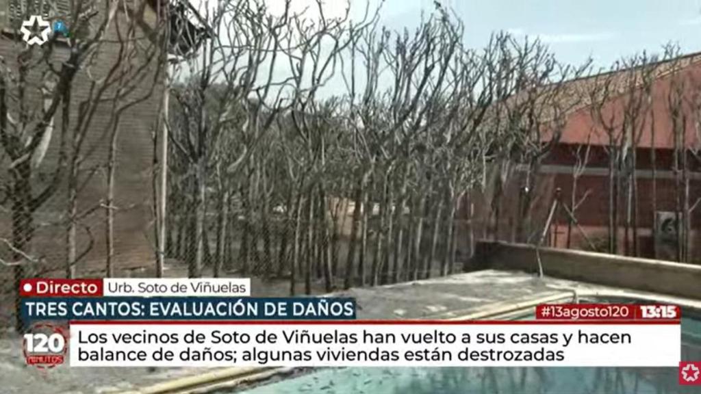 Aunque su casa no tiene daños estructurales, el jardín está destrozado.
