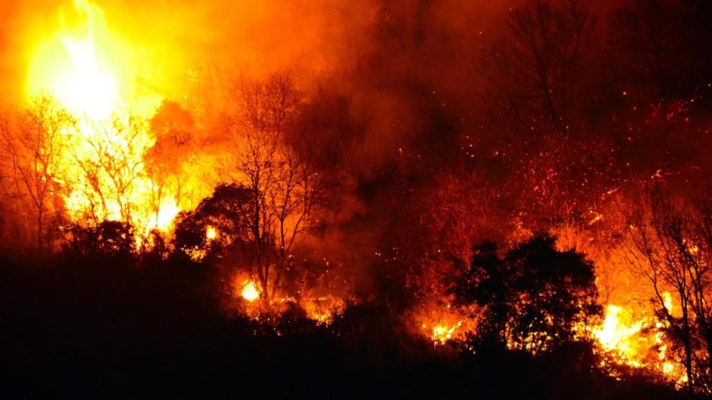 Incendio en un monte