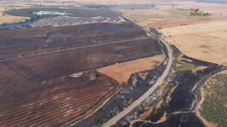 Terreno arrasado por el fuego en Calera y Chozas (Toledo). Foto: Plan Infocam.