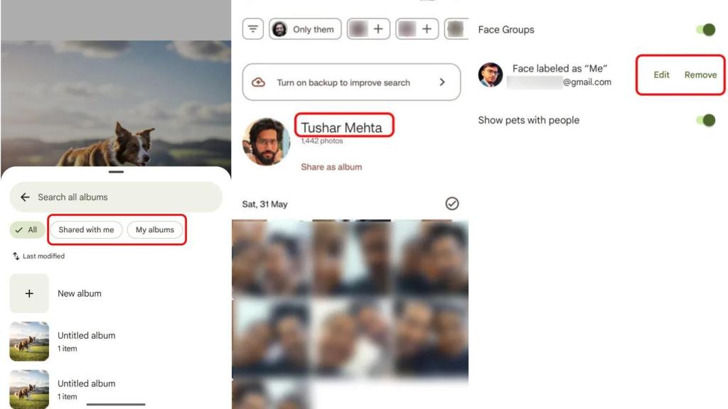 Nuevas opciones de Google Fotos