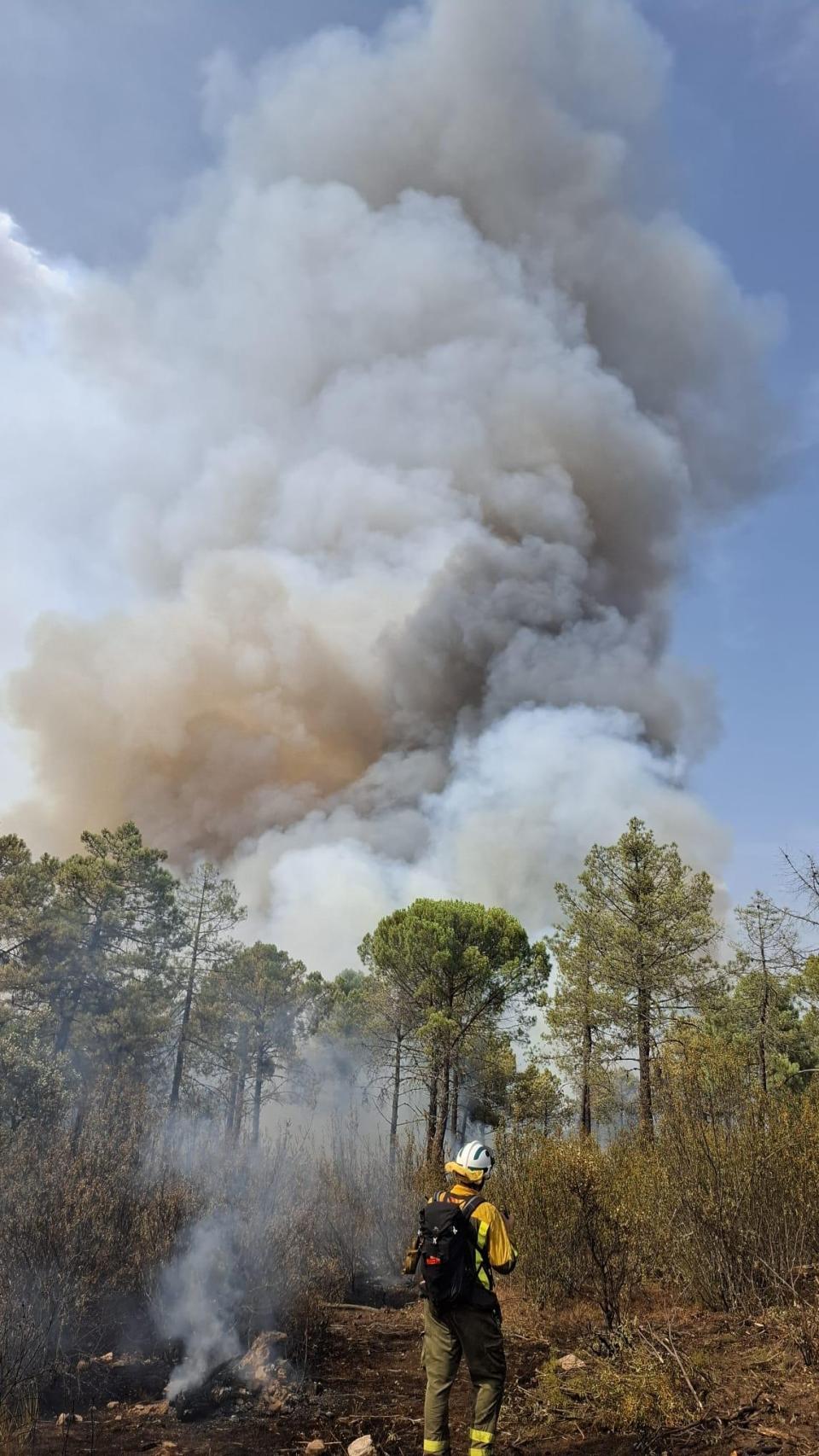 El bombero Jesús Molina, de espaldas, este viernes, en el incendio de San Bartolomé de Pinares.
