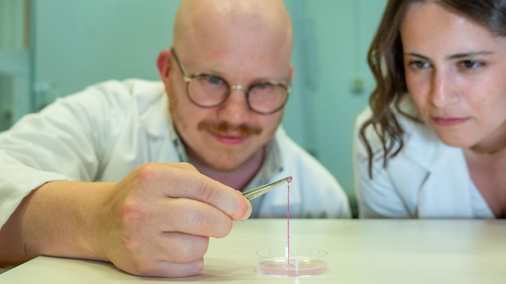 Un minitubo de hidrogel que puede dar lugar a vasos sanguíneos en pieles sintéticas.
