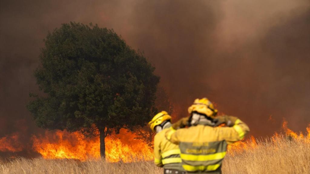 Bomberos trabajan para extinguir el incendio de agosto de 2025 en Molezuelas de la Carballeda, Zamora (España). Foto: Emilio Fraile / Europa Press