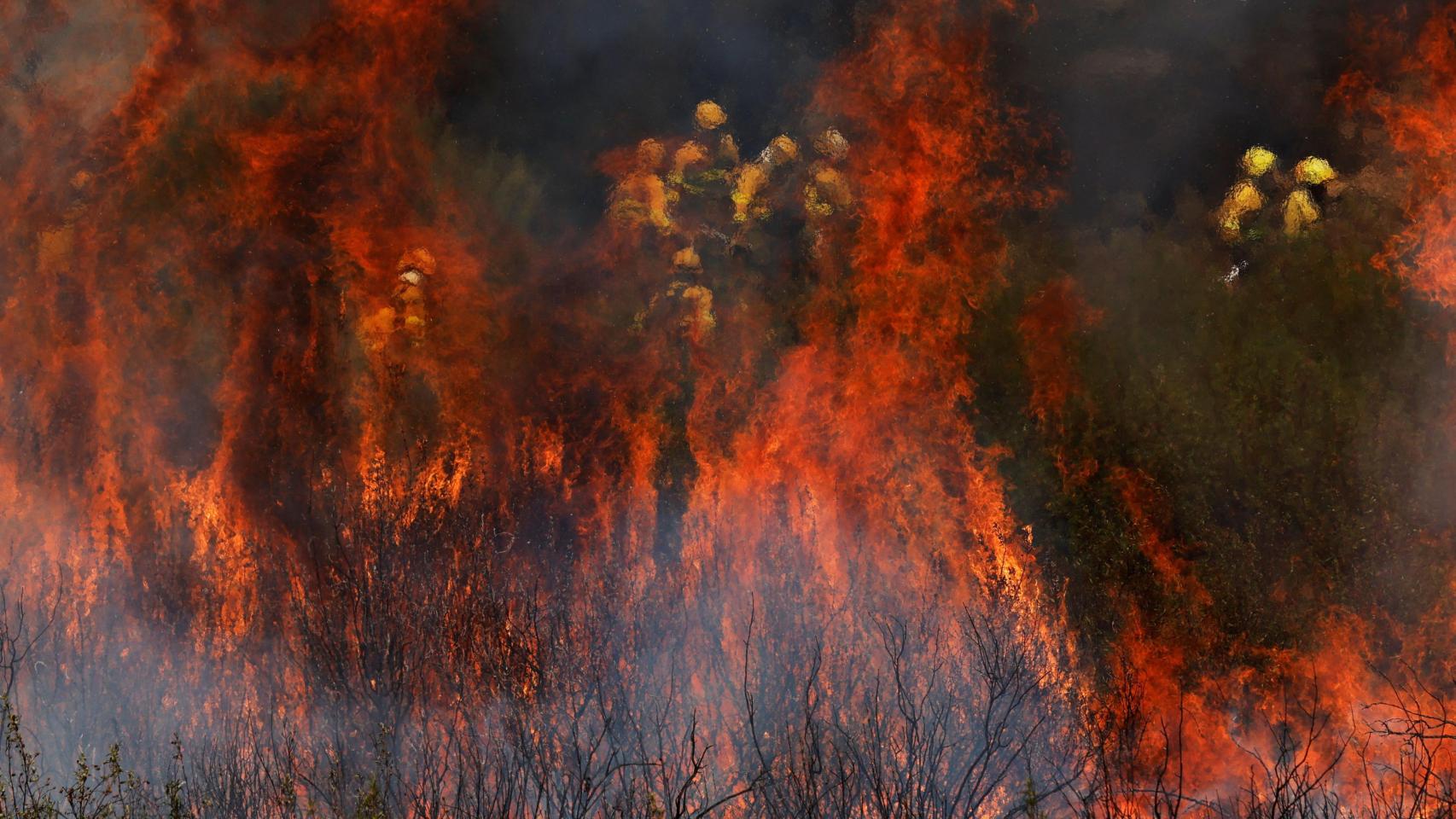 Los bomberos trabajan para extinguir un incendio forestal en las afueras de Abejera de Tábara, Zamora.