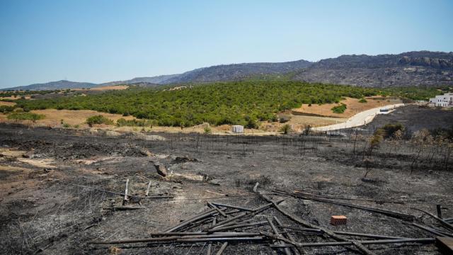 Parte de la zona arrasada por las llamas en Tarifa