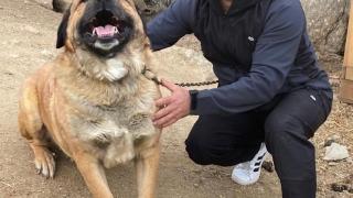 Mircea, el mecánico de origen rumano que murió en el incendio de Tres Cantos.
