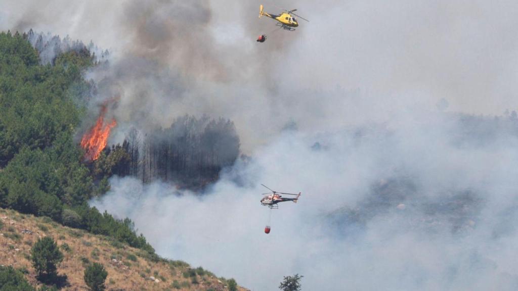 El incendio calcinó más de 2.000 hectáreas.