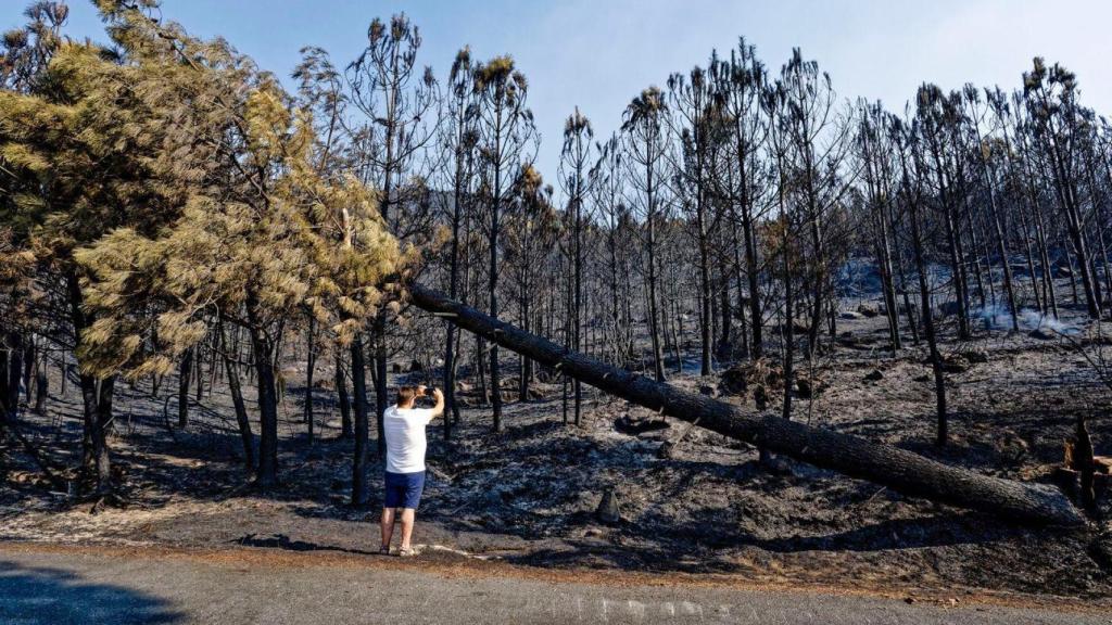 Por ahora, el incendio de Ávila está perimetrado.