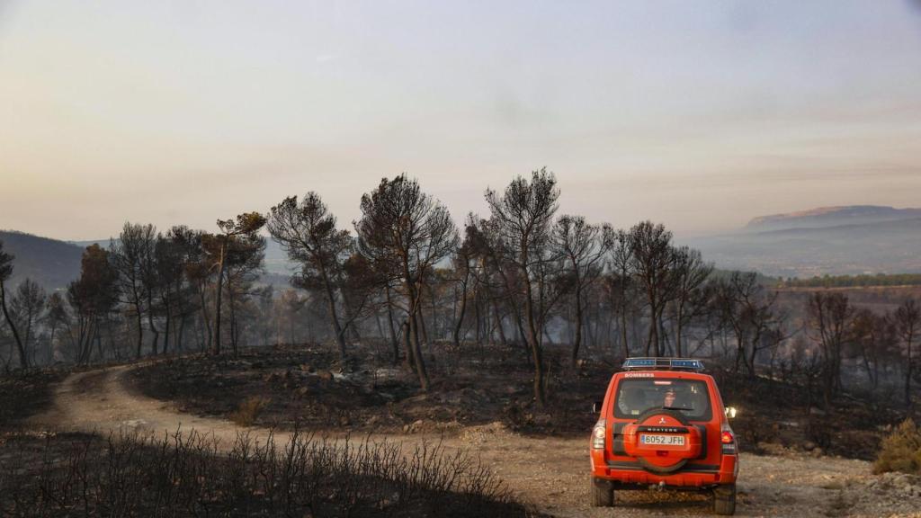 Bomberos en el incendio de Teresa de Cofrentes.