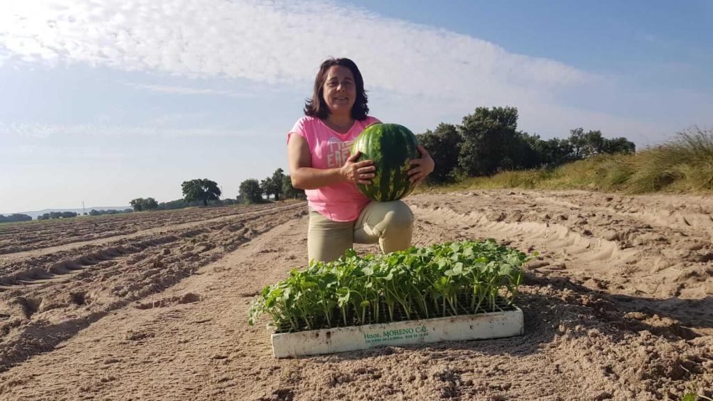 Conchi en una plantación de sandía en Velada (Toledo).