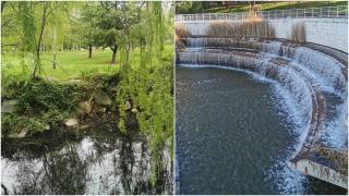 Diferentes puntos del Parque de la Laguna Carrizal de Collado Villalba (Madrid).