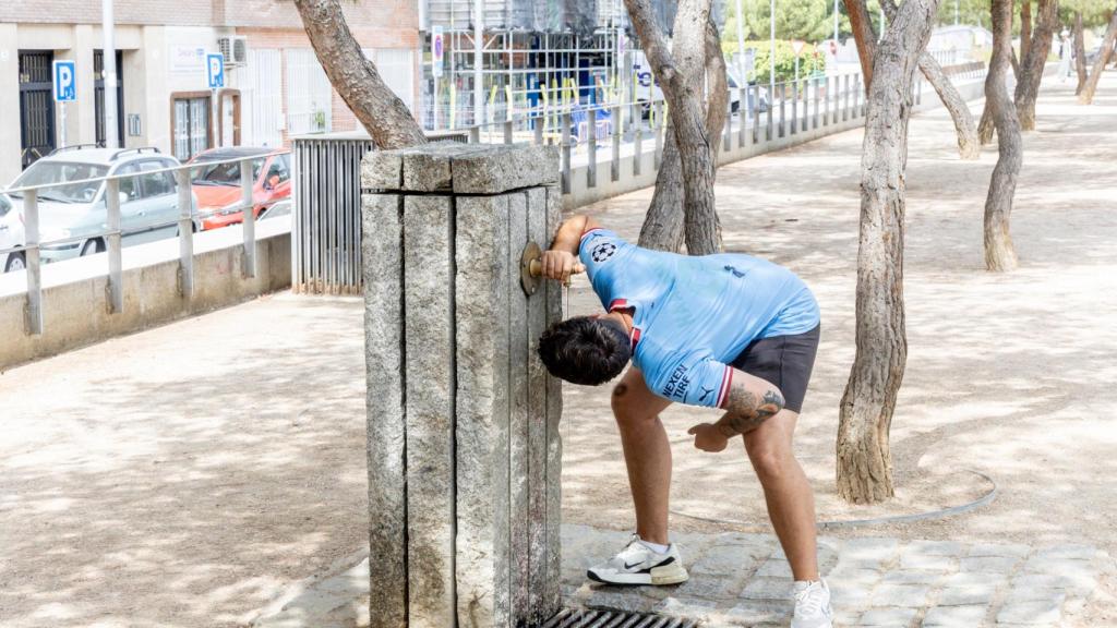 Las fuentes como mejor aliada.