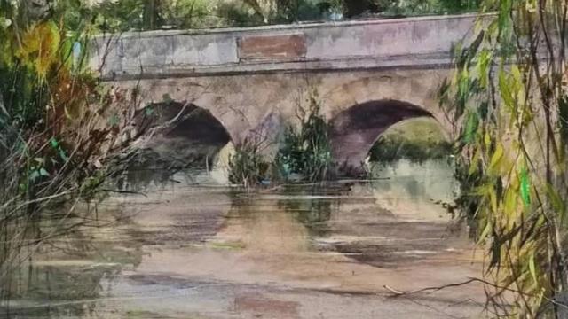 Primer premio del Certamen Nacional de Pintura Rápida Urcela Uclés en 2024.