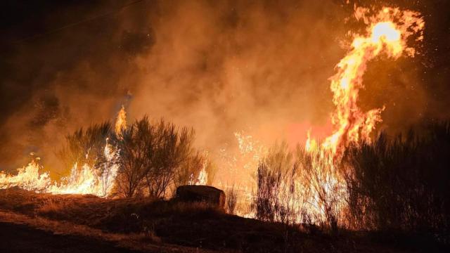 Varios fuegos calcinan miles de hectáreas en Galicia.