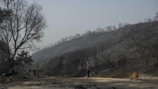 Un vecino contempla la superficie calcinada por el incendio en la localidad de A Caridade, en el municipio de Monterrei (Orense).