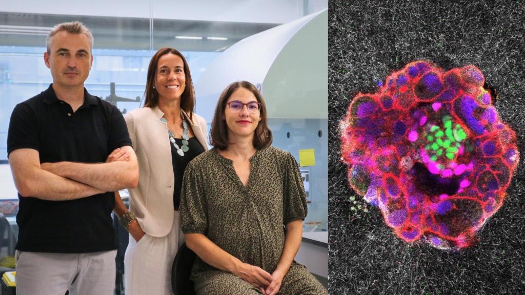 Samuel Ojosnegros, Anna Seriola y Amélie Godeau.