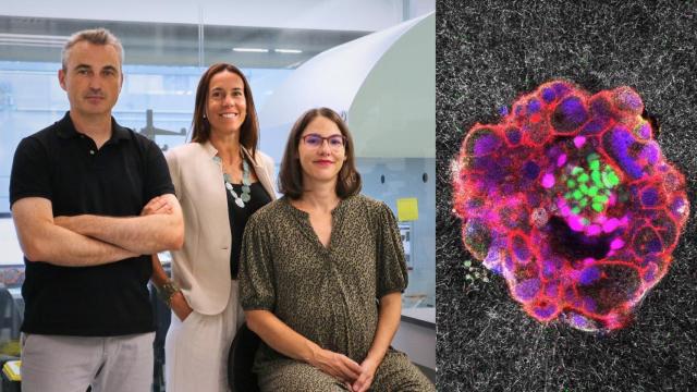 Samuel Ojosnegros, Anna Seriola y Amélie Godeau.