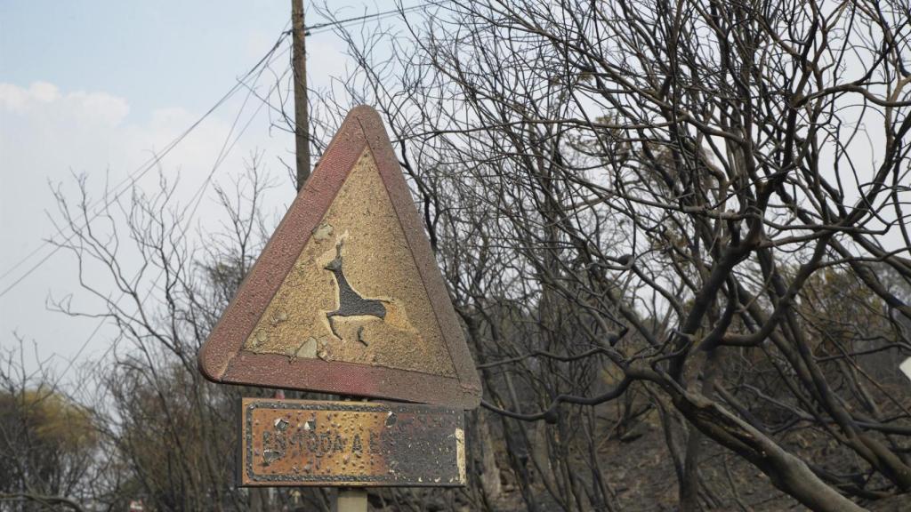 Una señal quemada, a 13 de agosto de 2025, en Chandrexa de Queixa