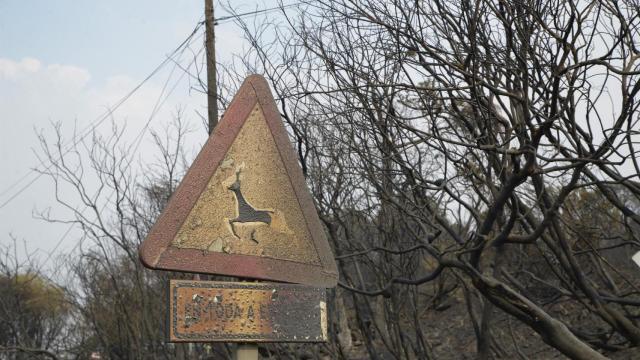 Una señal quemada, a 13 de agosto de 2025, en Chandrexa de Queixa