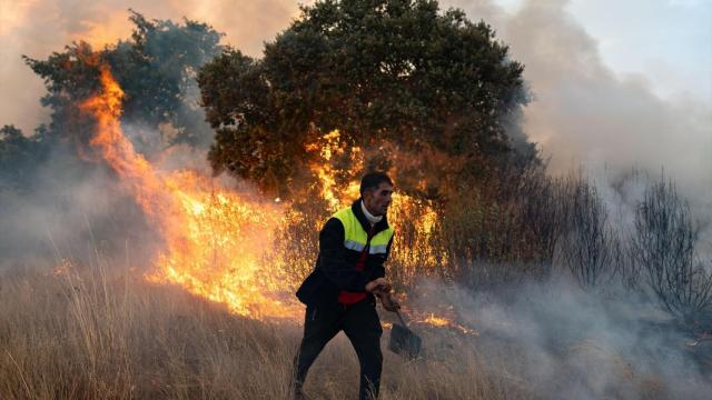 Una persona trata de apagar el fuego, a 12 de agosto de 2025, en Abejera, Zamora, Castilla y León (España). Foto: Emilio Fraile / Europa Press
