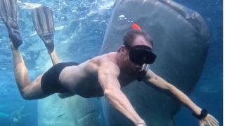 Pablo Motos buceando con un tiburón ballena.